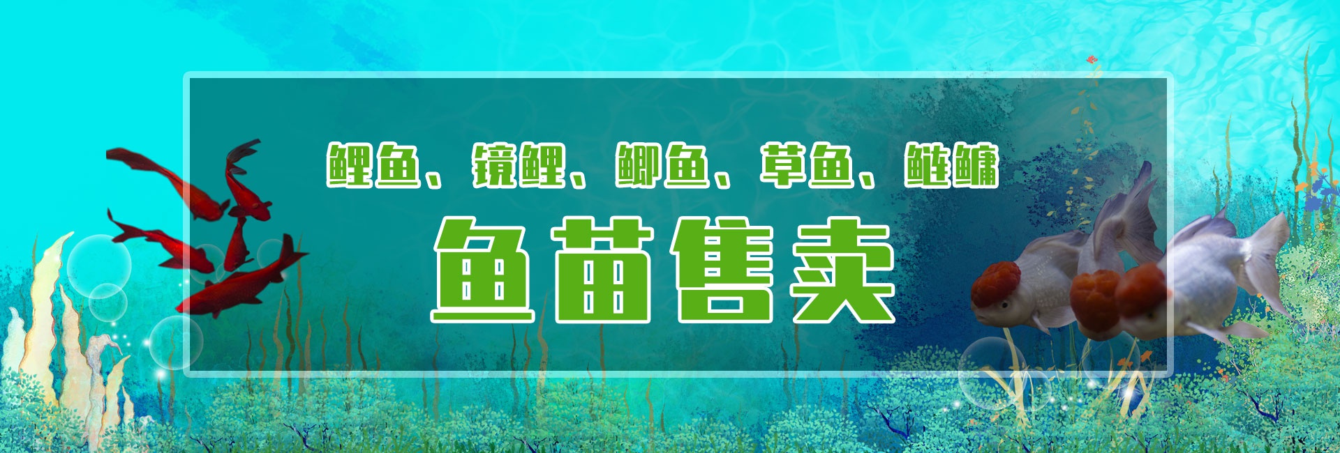 &#31859;&#20848;&#23448;&#26041;&#31449;&#32593;&#39029;&#29256;&#45;&#31859;&#20848;&#77;&#105;&#76;&#97;&#110;&#40;&#20013;&#22269;&#41;