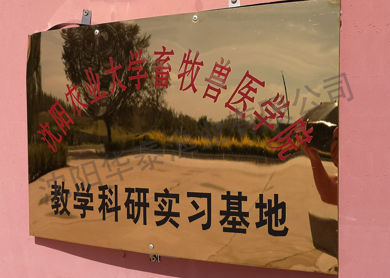 &#31859;&#20848;&#23448;&#26041;&#31449;&#32593;&#39029;&#29256;&#45;&#31859;&#20848;&#77;&#105;&#76;&#97;&#110;&#40;&#20013;&#22269;&#41;